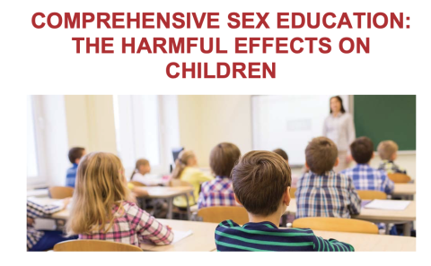 15 Harmful Elements of CSE